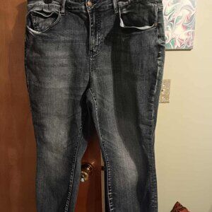 Judy Blue Jeans Size 20W Denim Skinny Relaxed Fit